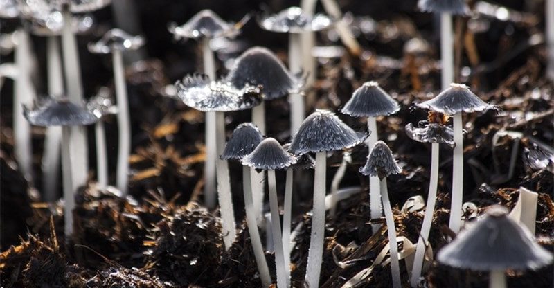 Thrilling Methods To Spice Up Your Intercourse Life: Alone Or With A Companion